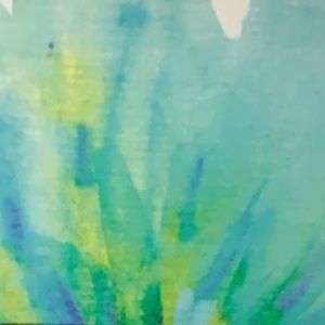 Meet your Posher, Dee